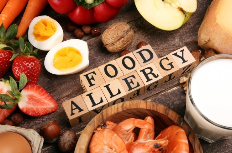 Complete Food Allergy Panel (Immunocap)