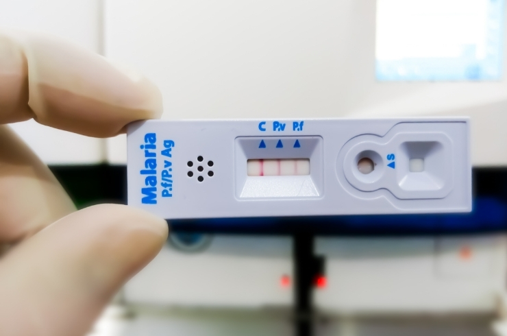 Malaria Test_ MP