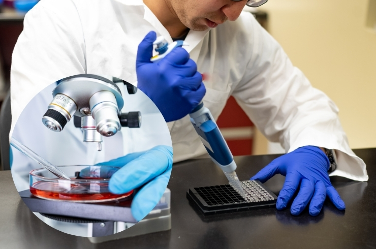 Pathology & Biochemistry-----32